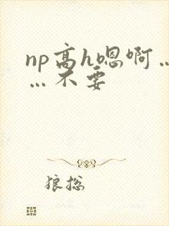np高h嗯啊……不要