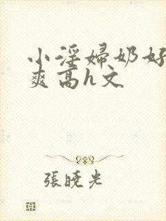 小淫妇奶好大好爽高h文