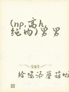 (np,高h,纯肉)男男