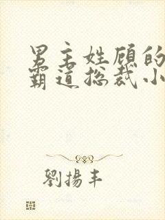 男主姓顾的所有霸道总裁小说封面