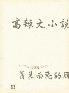 高辣文小说父女