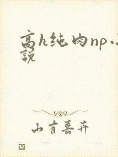 高h纯肉np小说封面