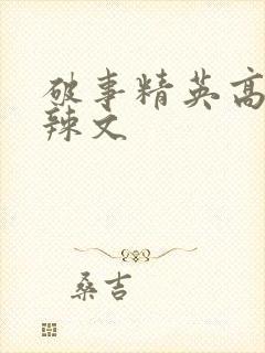 破事精英高h肉辣文