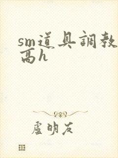 sm道具调教文高h