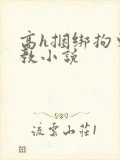 高h捆绑拘束调教小说封面