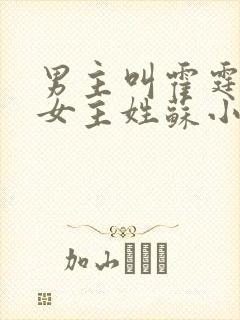 男主叫霍霆琛的女主姓苏小说