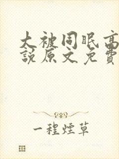 大被同眠高粱小说原文免费阅读封面
