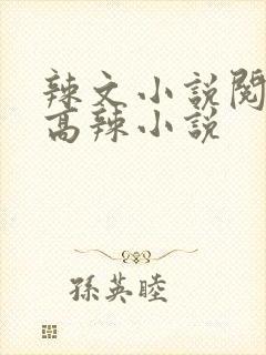 辣文小说阅读网高辣小说