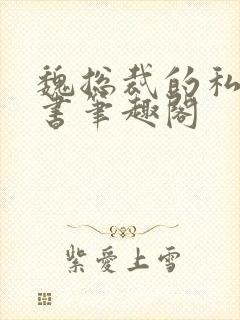 魏总裁的私人秘书笔趣阁