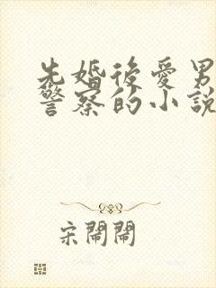 先婚后爱男主是警察的小说