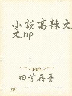 小说高辣文高h文np