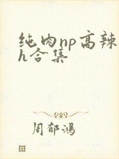 纯肉np高辣文h合集
