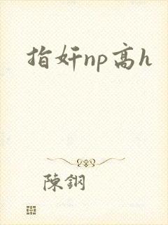 指奸np高h
