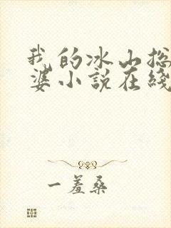 我的冰山总裁老婆小说在线阅读