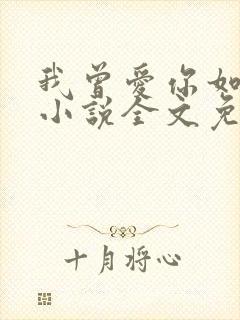 我曾爱你如生命小说全文免费阅读