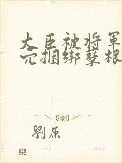 大臣被将军插后穴捆绑孽根腐文