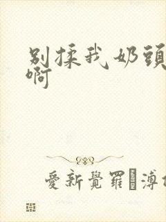 别揉我奶头,嗯啊封面