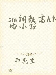 sm调教高h纯肉小说