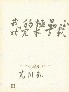 我的极品小姨txt完本下载