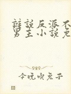 谁说反派不能当男主小说免费阅读