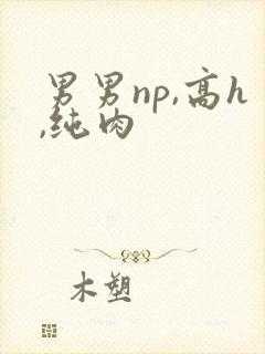 男男np,高h,纯肉