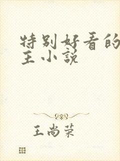 特别好看的双男主小说