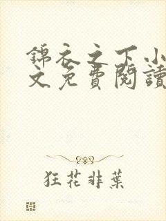 锦衣之下小说全文免费阅读无弹窗