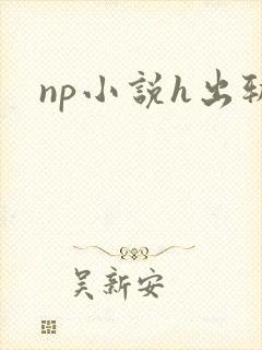 np小说h出轨封面