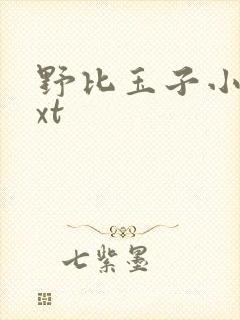 野比玉子小说txt