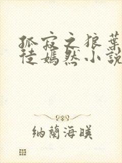 孤寂之狼叶凡司徒嫣然小说