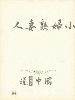 人妻熟妇小说封面