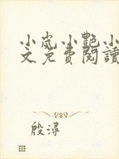 小岚小艳小说全文免费阅读最新章节封面