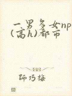 一男多女nph(高h)都市