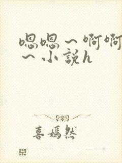 嗯嗯～啊啊啊爽～小说h封面