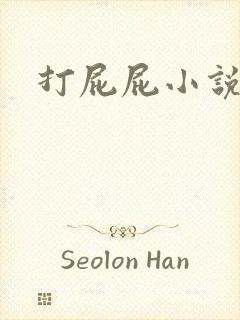 打屁屁小说
