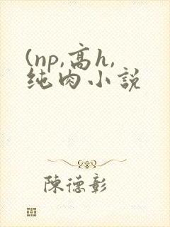 (np,高h,纯肉小说