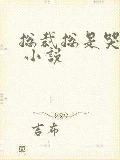 总裁总是哭唧唧 小说