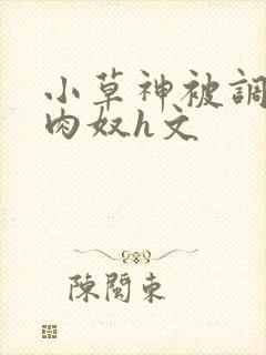 小草神被调教成肉奴h文封面