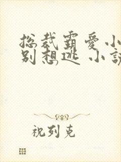 总裁霸爱小娇妻别想逃 小说免费阅读封面