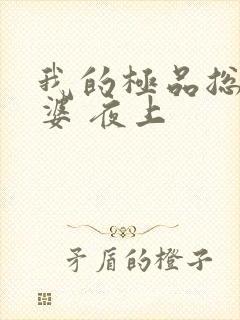 我的极品总裁老婆 夜上