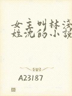 女主叫林浅男主姓沈的小说