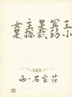 女主是冥王男主是总裁的小说