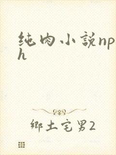 纯肉小说np高h