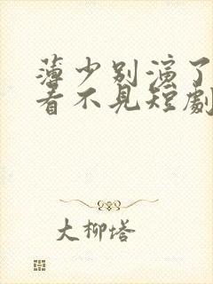 薄少别演了夫人看不见短剧免费观看全集