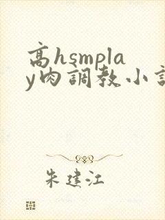 高hsmplay肉调教小说