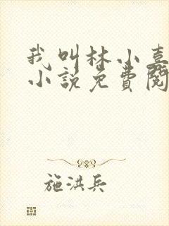 我叫林小喜全文小说免费阅读