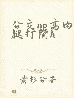 公交np高肉双腿打开h封面