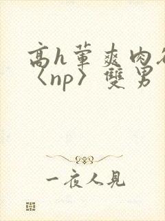 高h荤爽肉欲文〈np〉双男