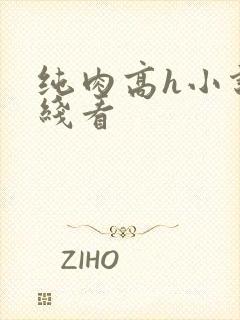 纯肉高h小说在线看