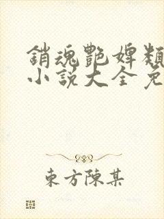 销魂艳婢类似的小说大全免费阅读封面